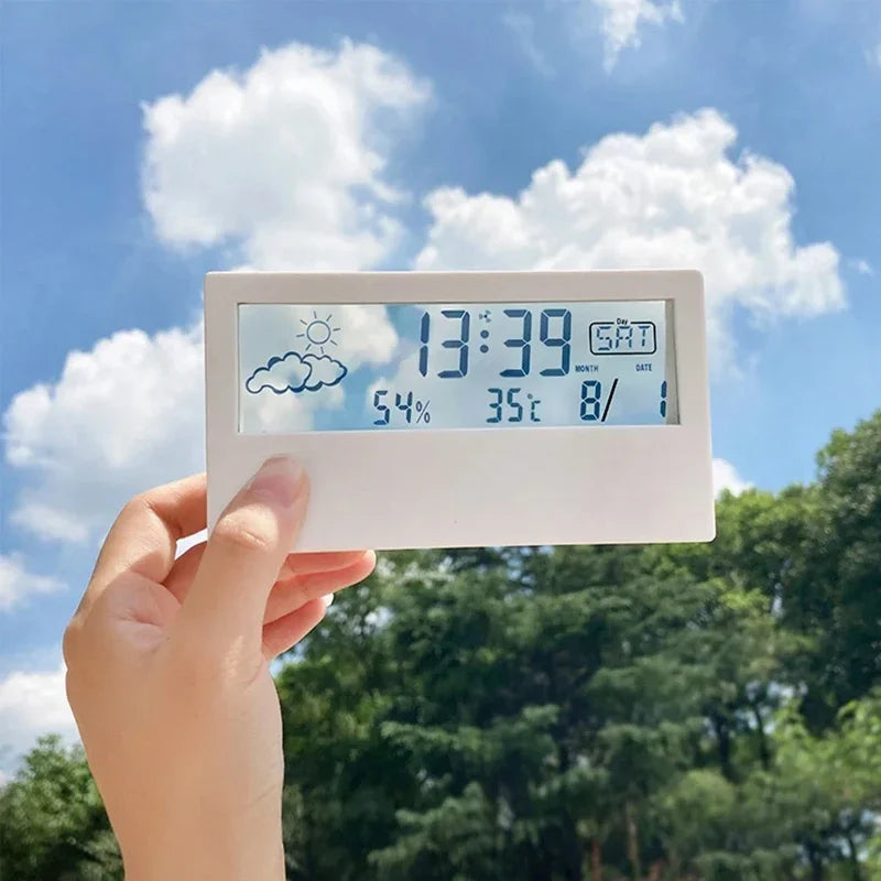Climate View Pro